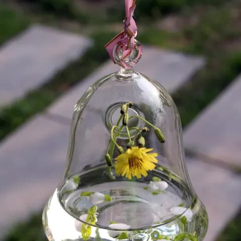 Hanging Glass Fishbowl image 2
