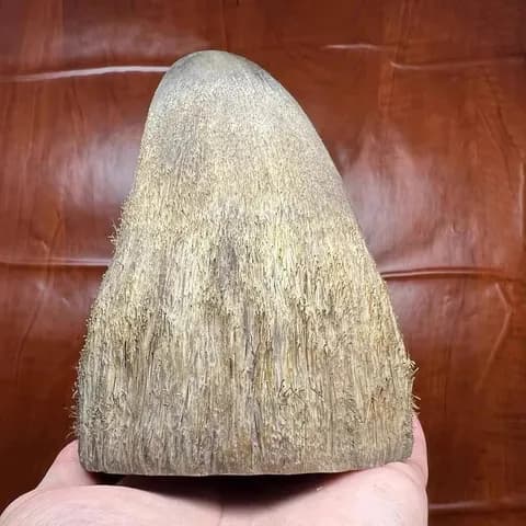 Ox Horn Hand Piece